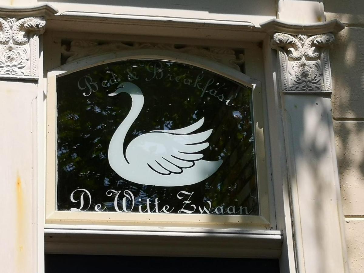 Wittezwaan Bed and Breakfast Harlingen Eksteriør billede